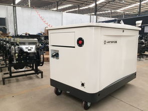 箱式静音型20kW多燃料发电机报价 燃气发电机组全面解析